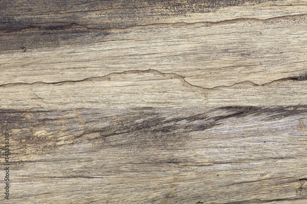 Naklejka premium Old wood texture grunge background.
