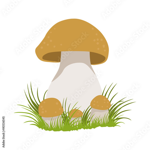 Porcini, edible forest mushrooms. Colorful cartoon illustration