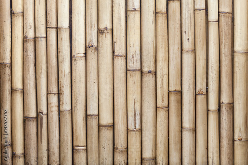 Old bamboo fence background.