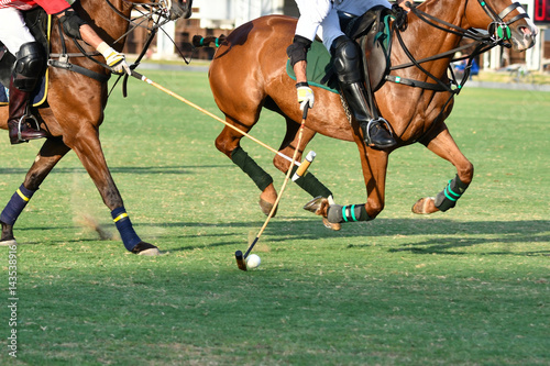Fighting between polo players.