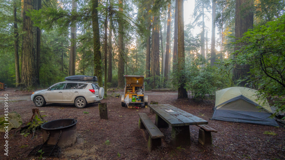 Grey tent and teardrop on a background of the Redwood Forest. White car ...