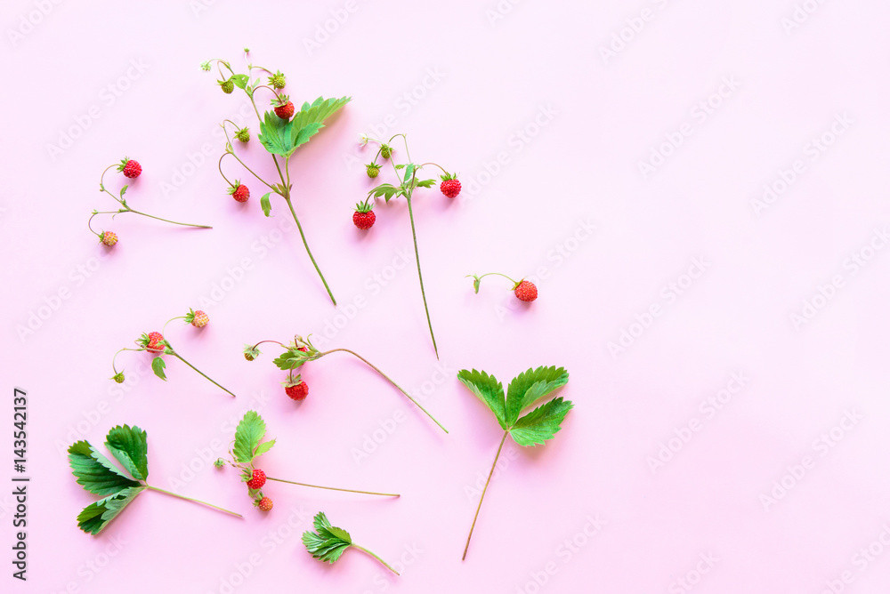 top view of strawberry fruits on bright dual blue and pink color paper background with copy space for text, wild summer health concept