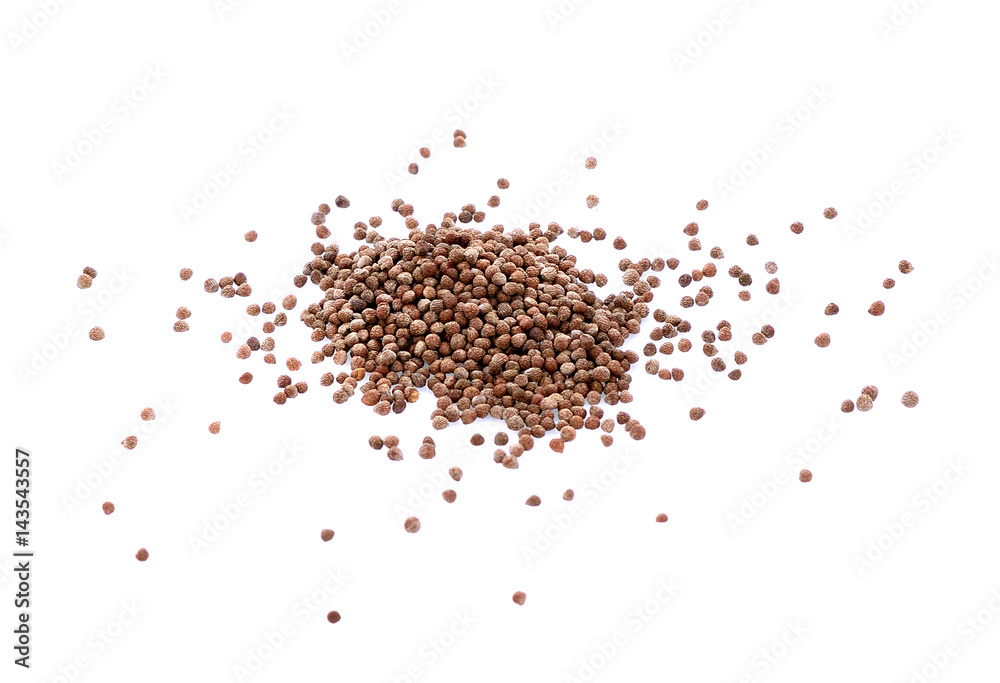 Coriander seeds isolated on white background Coriander seeds isolated on white background