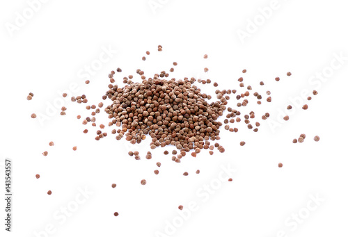 Coriander seeds isolated on white background