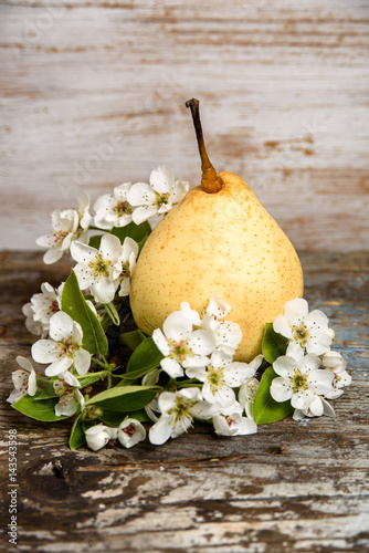 Still life with a yellow pear and pear blossom on vintage wood background 