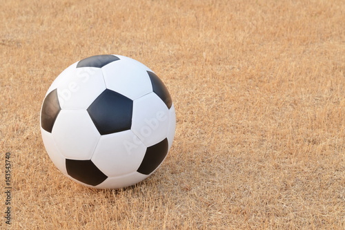 Football or soccer ball on the lawn with copy space for text  outdoor activities.