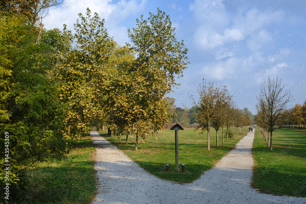 Monza (Italy):  the park at fall