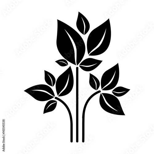 black silhouette of plant with branch and leafs vector illustration