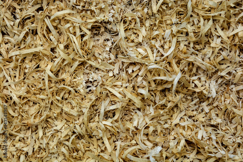The structure is large sawdust from felled tree The structure is large sawdust from felled tree