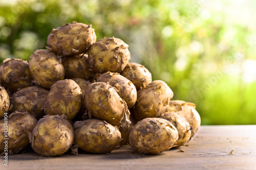 Potatoes on a wooden table in garden