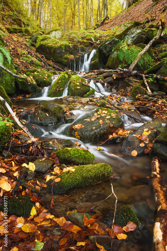 View at a waterfall in a mountain forest in autumn. Vertical composition