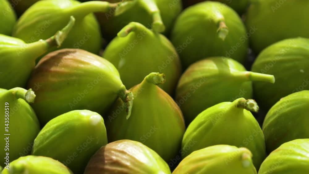 Harvest season of figs. Panoramic shot of a close-up of fruit Harvest season of figs. Panoramic shot of a close-up of fruit
