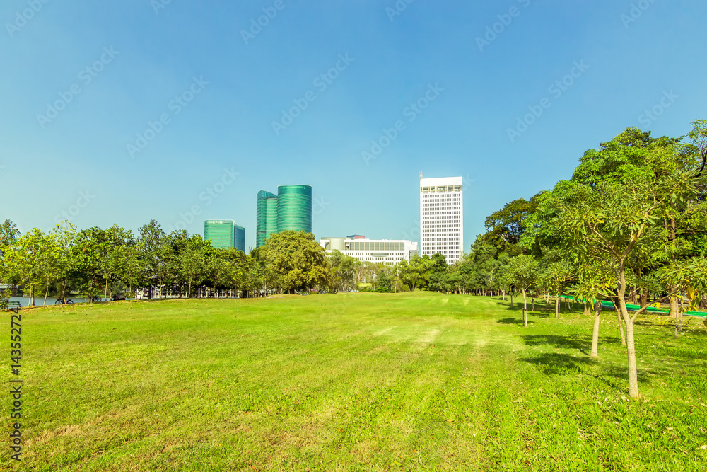 Beautiful public park with green grass field and architecture on blue sky background