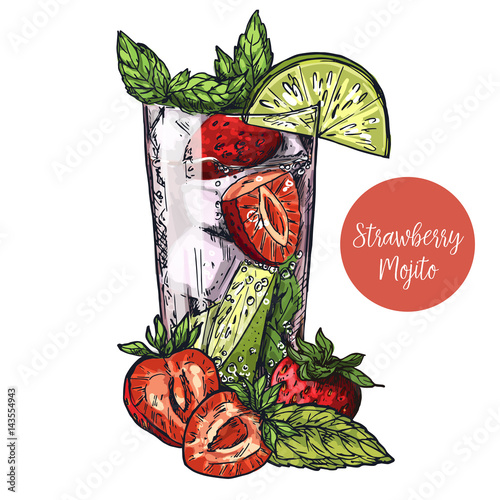 vector colorful sketch illustration of mojito