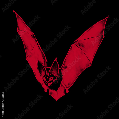 Flying bat. Little vampire. Gothic illustration. Halloween style. Drawn red bat.