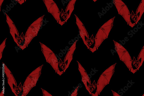 Repeated pattern. Seamless texture. Flying bat. Little vampire. Gothic illustration. Halloween style. Drawn bat. Can be used like wallpaper, wrapping, background, or your design.