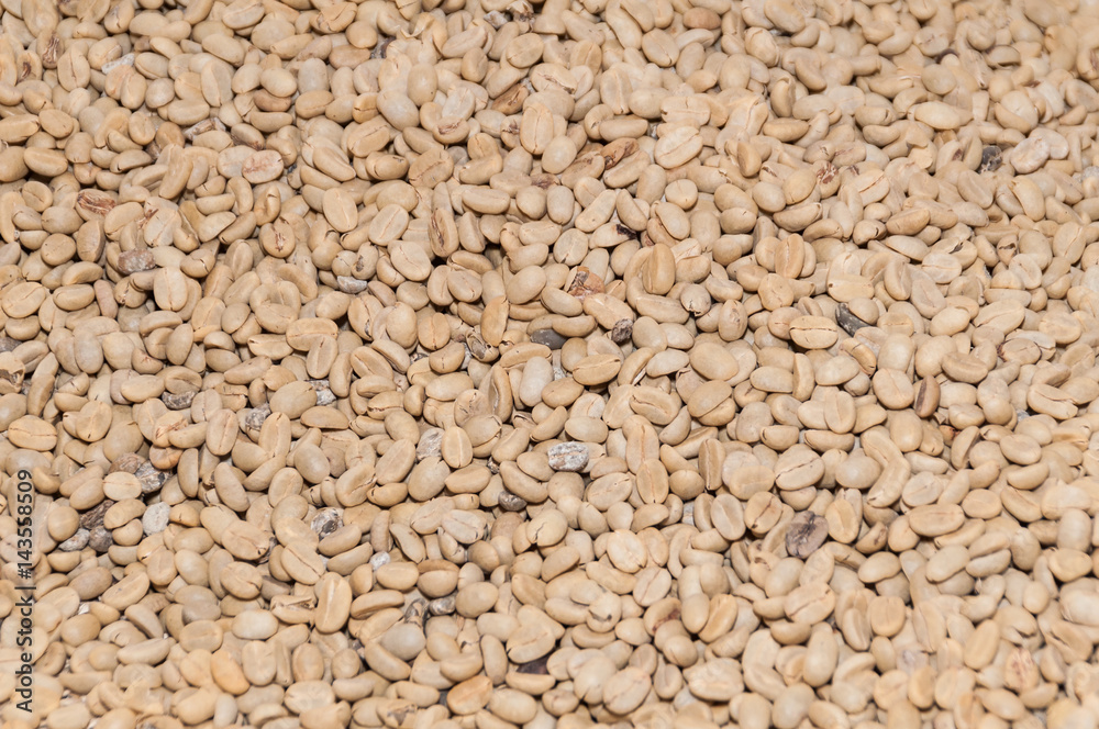 Drying coffee beans Drying coffee beans