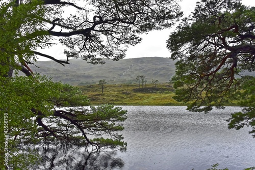 Schottland - Loch Shieldaig photo