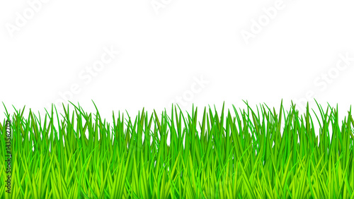 Vector horisontal seamless pattern green grass endless texture template 