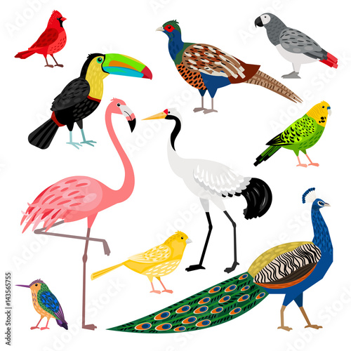 Wonderful set consisting of nice colored birds