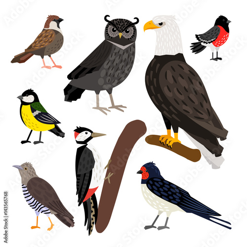 Wonderful set consisting of nice colored birds