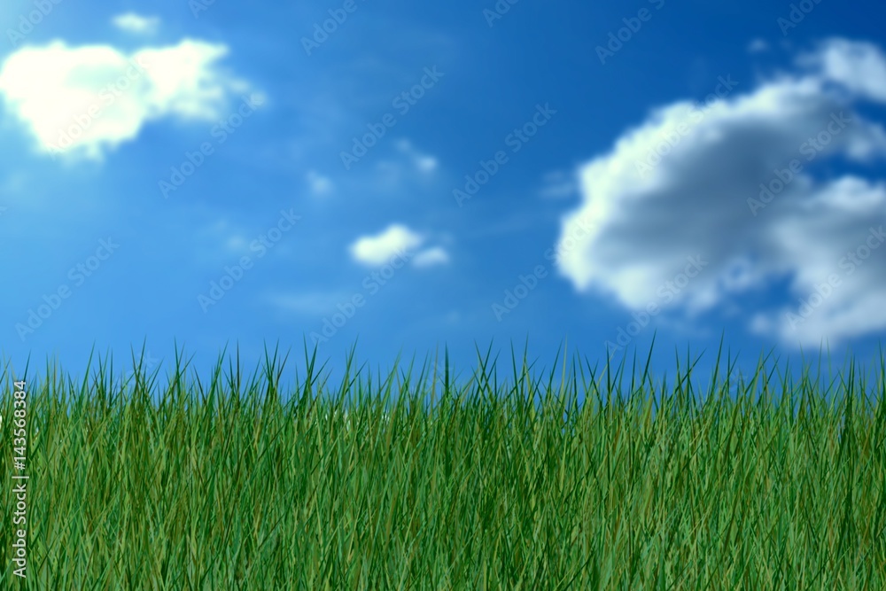 Composite image of grass against white background Composite image of grass against white background