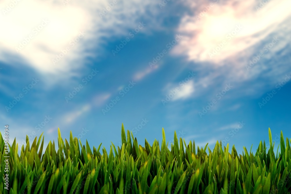 Composite image of grass growing outdoors Composite image of grass growing outdoors