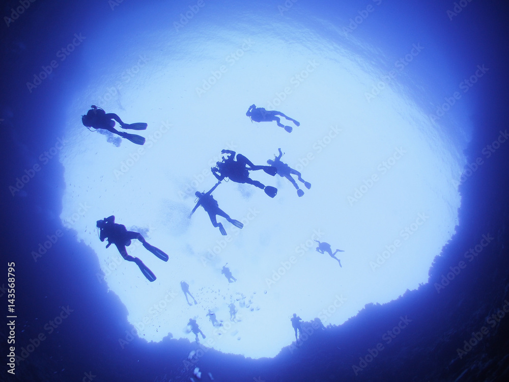 Fototapeta premium sea diving divers 