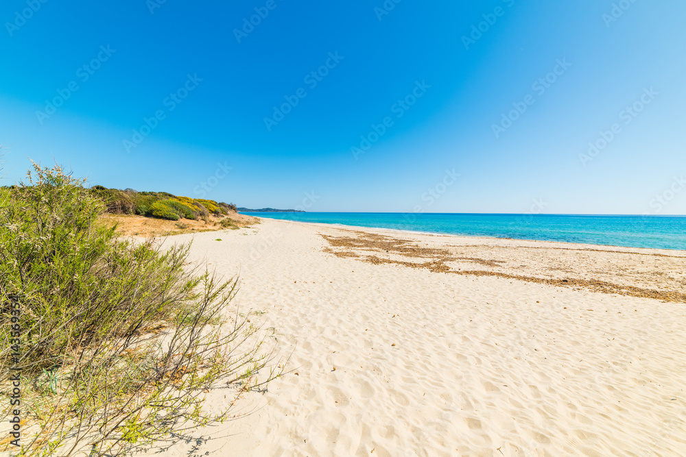 Sandy shore in Piscina Rei Sandy shore in Piscina Rei