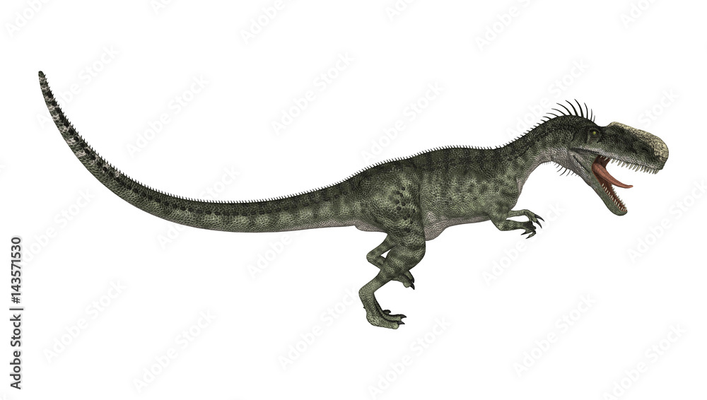 3D Rendering Dinosaur Monolophosaurus on White 3D Rendering Dinosaur Monolophosaurus on White