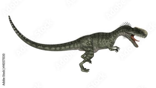 3D Rendering Dinosaur Monolophosaurus on White