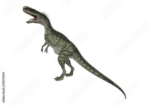Fototapeta Naklejka Na Ścianę i Meble -  3D Rendering Dinosaur Monolophosaurus on White