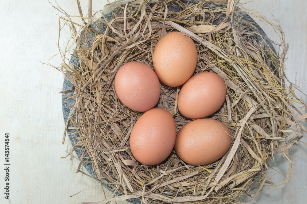 eggs on the nest