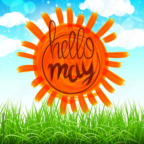 vector Summer Background With Sun, Grass, Flower And Butterflies