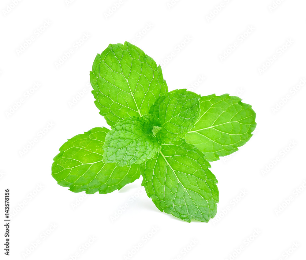 Mint leaves isolated on white background