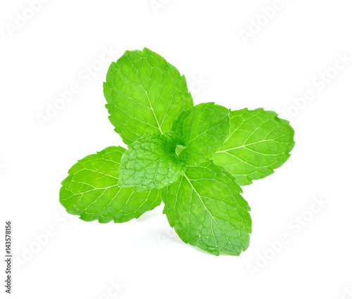 Mint leaves isolated on white background