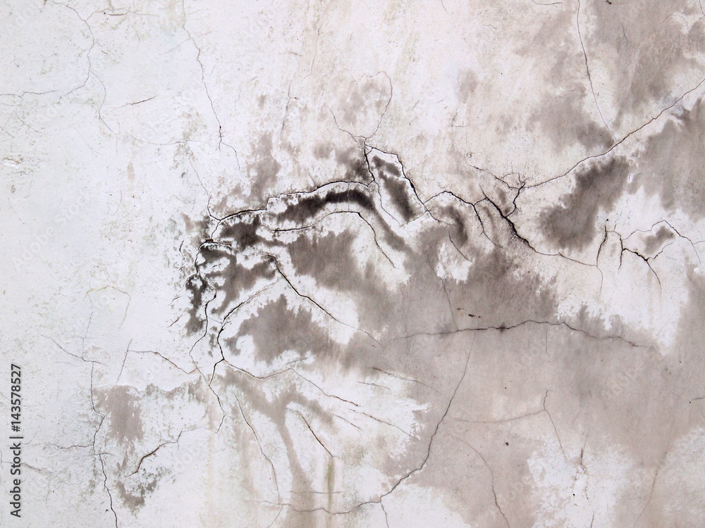 Fototapeta premium Grunge cement wall
