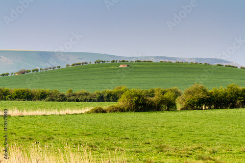 Green Sussex Landscape © lemanieh