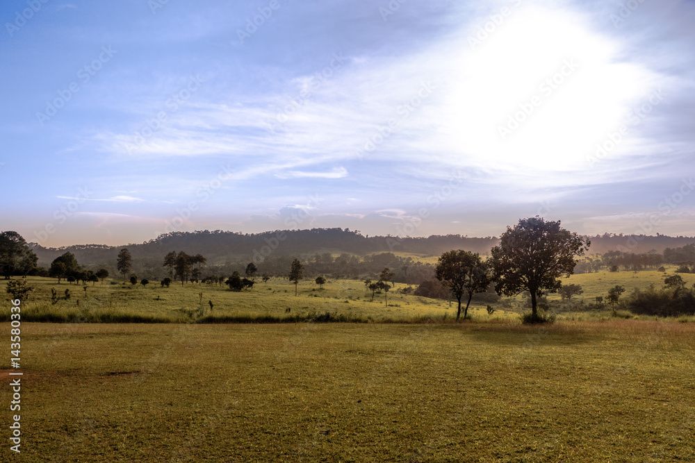 Field with the hill in Background