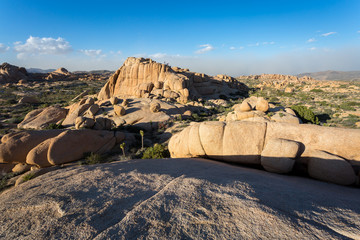 Fotobehang Natuurpark Joshua Tree woestijn Californië  © jon manjeot