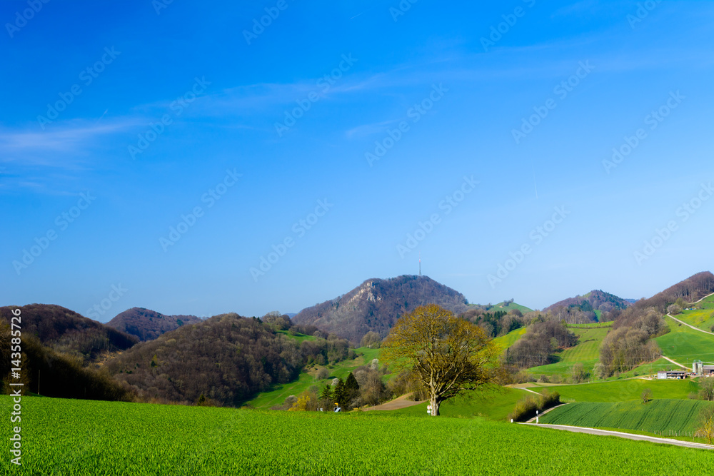 Sommer Landschaft 