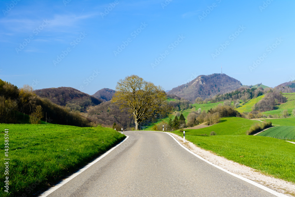 Strasse mit Baum und Berge im Frühling 