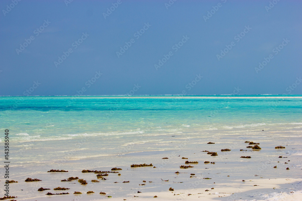 Zanzibar beach