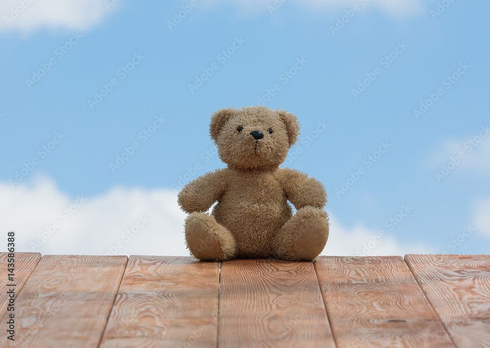 Obraz premium Teddy bear, sky with clouds