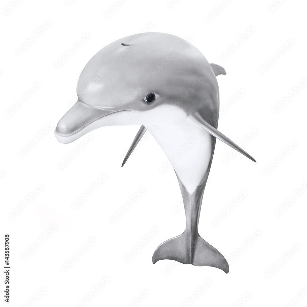 Jumping Bottlenose Dolphin - Tursiops Truncatus. Sea life isolated on ...