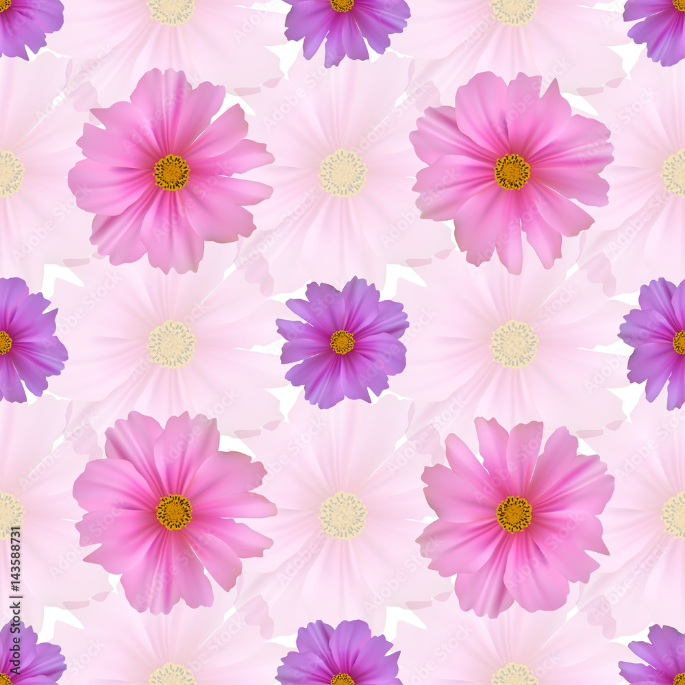 Seamless pattern with cosmos flower