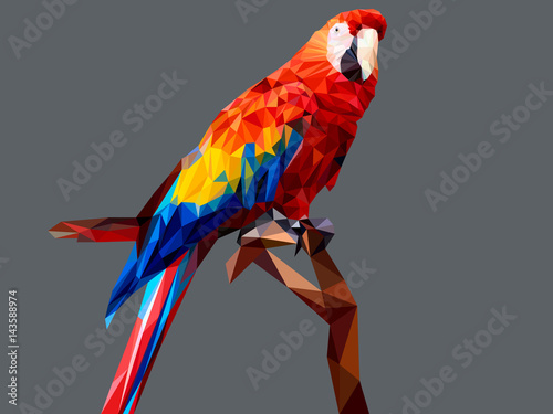 Parot low polygon isolated on gray background