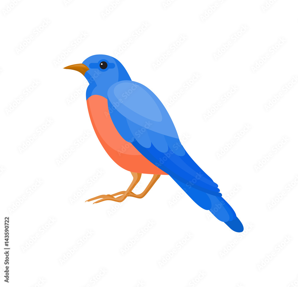 Bird with colorful feathers, isolated vector illustration