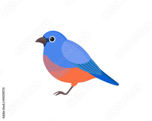 Bird with colorful feathers, isolated vector illustration