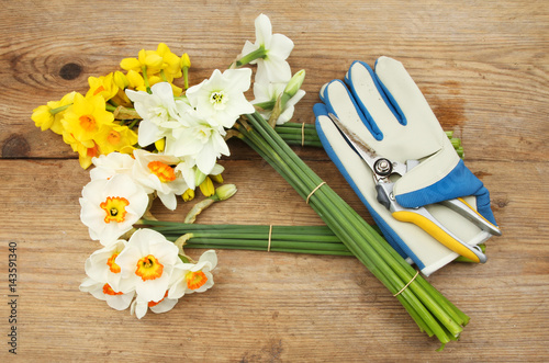 Bunches of cut Daffodils